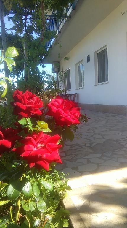 Apartments Nena Lozovac Luaran gambar
